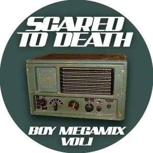 Cover for Scared to Death · Boy Megamix Vol. 1 (LP) [Picture Disc edition] (2006)