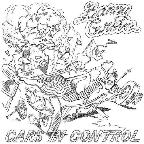 Cars In Control - Banny Grove - Muziek - NICEY MUSIC - 0642889425347 - 17 augustus 2017