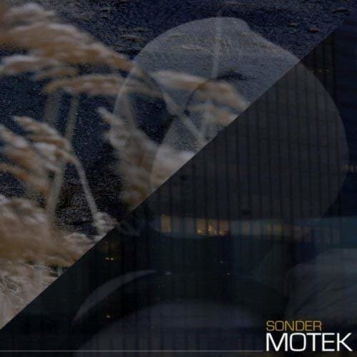 Cover for Motek · Sonder (LP) (2013)