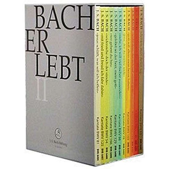 Cover for J.S.Bach-Stiftung / Lutz,Rudolf · * Bach Erlebt II (DVD) (2014)