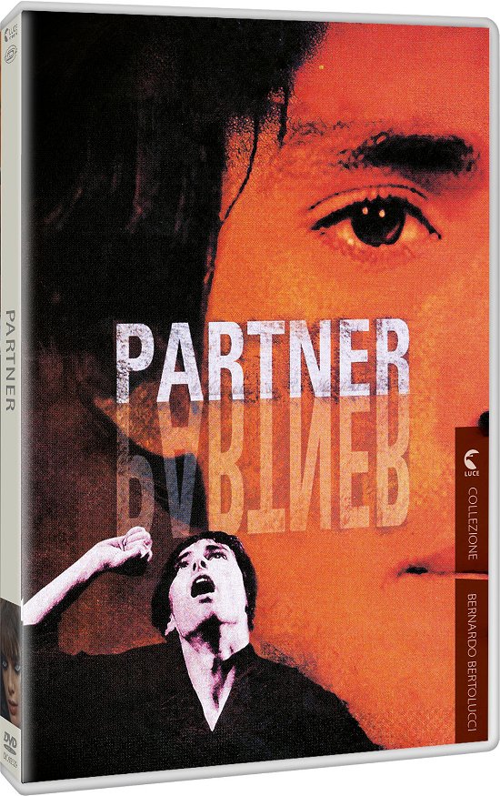 Cover for Dynit · Partner (DVD) (2022)