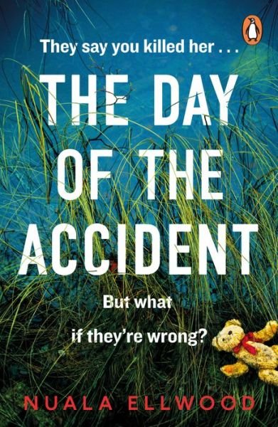 Day of the Accident: The compelling and emotional thriller with a twist you won't believe - Nuala Ellwood - Bücher - Penguin Books Ltd - 9780241977347 - 21. Februar 2019