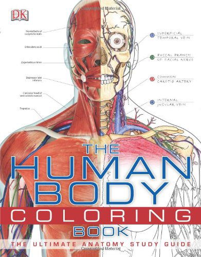 The Human Body Coloring Book - Dk Publishing - Książki - DK ADULT - 9780756682347 - 15 sierpnia 2011