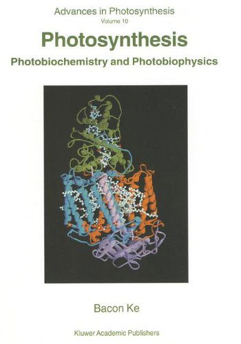 Cover for Bacon Ke · Photosynthesis: Photobiochemistry and Photobiophysics - Advances in Photosynthesis and Respiration (Hardcover Book) [2001 edition] (2001)