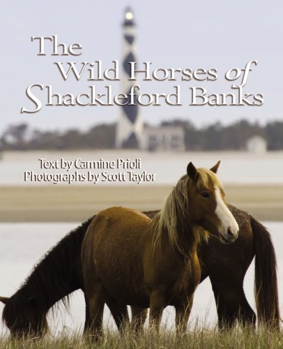 Cover for Carmine Prioli · Wild Horses of Shackleford Banks (Paperback Book) (2007)