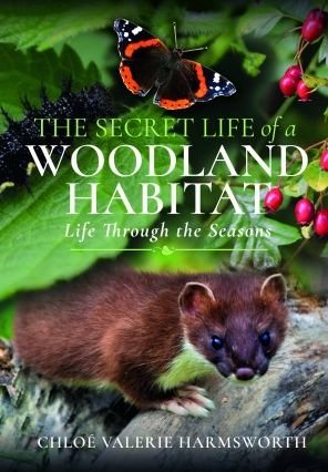 Cover for Chloe Valerie Harmsworth · The Secret Life of a Woodland Habitat: Life Through the Seasons (Hardcover Book) (2022)