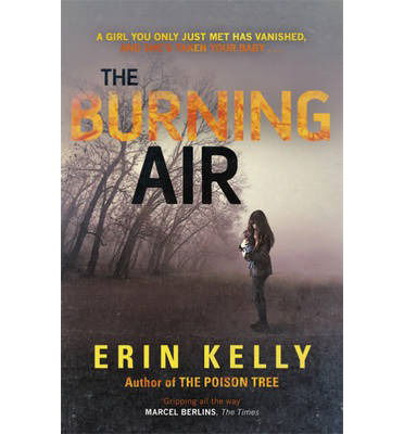 Cover for Erin Kelly · The Burning Air (Paperback Book) (2013)