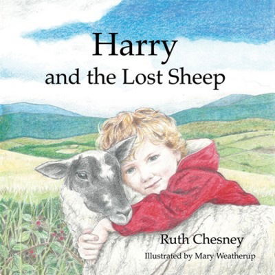 Cover for Ruth Chesney · Harry and the Lost Sheep (Hardcover Book) (2019)