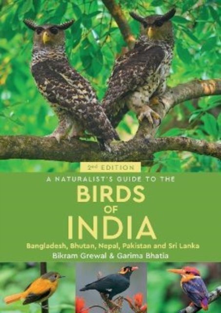 Cover for Bikram Grewal · A Naturalist's Guide to the Birds of India (Pocketbok) [2 New edition] (2022)