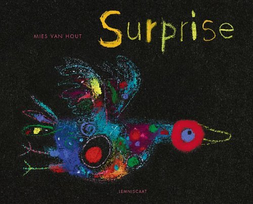 Cover for Mies Van Hout · Surprise (Gebundenes Buch) (2014)
