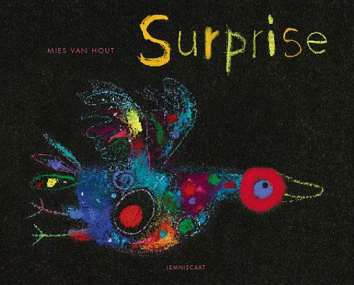 Cover for Mies Van Hout · Surprise (Hardcover Book) (2014)