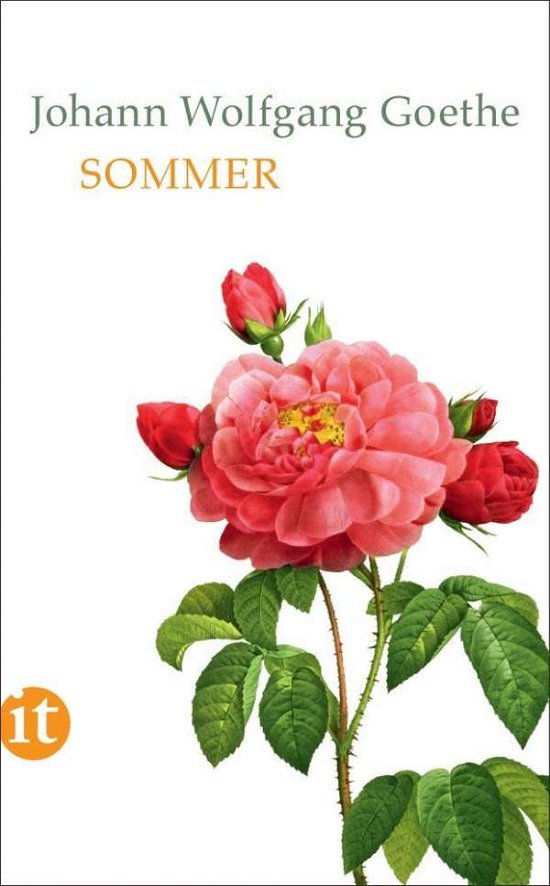 Cover for J W von Goethe · Sommer (Paperback Book) (2018)