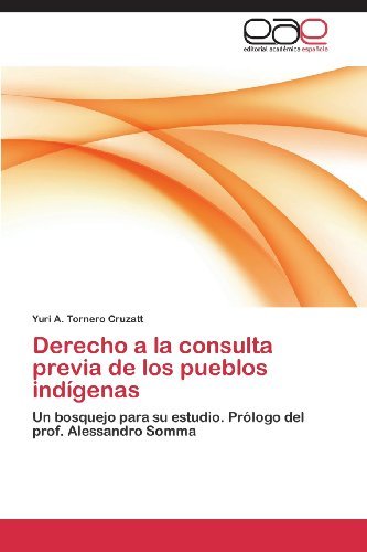 Cover for Yuri A. Tornero Cruzatt · Derecho a La Consulta Previa De Los Pueblos Indígenas: Un Bosquejo Para Su Estudio. Prólogo Del Prof. Alessandro Somma (Pocketbok) [Spanish edition] (2013)