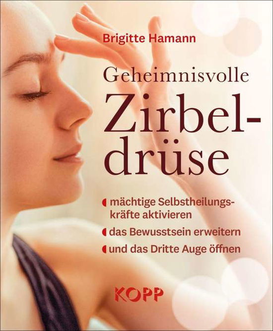 Cover for Brigitte Hamann · Geheimnisvolle Zirbeldr?se (Paperback Book) (2021)