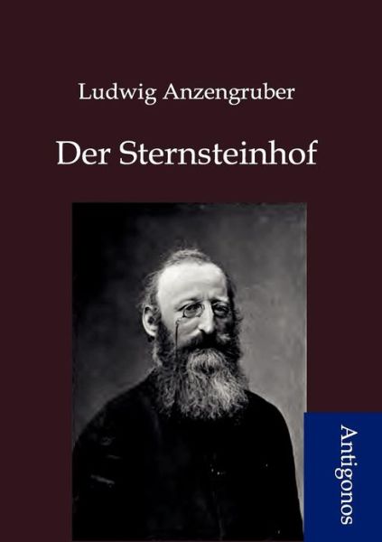 Cover for Ludwig Anzengruber · Der Sternsteinhof (Paperback Book) [German edition] (2012)