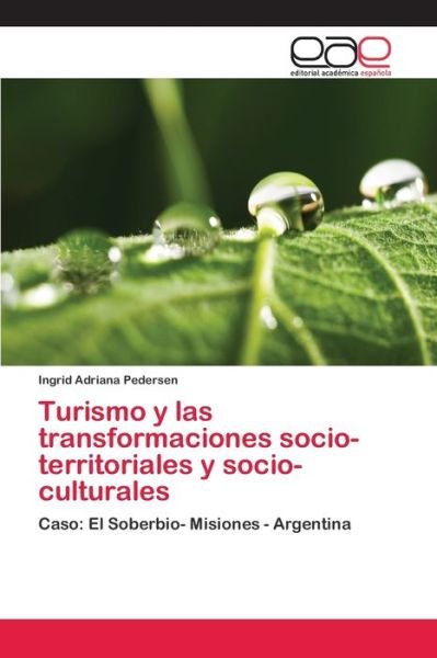 Cover for Pedersen · Turismo y las transformaciones (Bog) (2018)