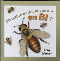 Cover for Jinny Johnson · Hvordan er det at være en bi? (Bound Book) [1er édition] [Indbundet] (2012)