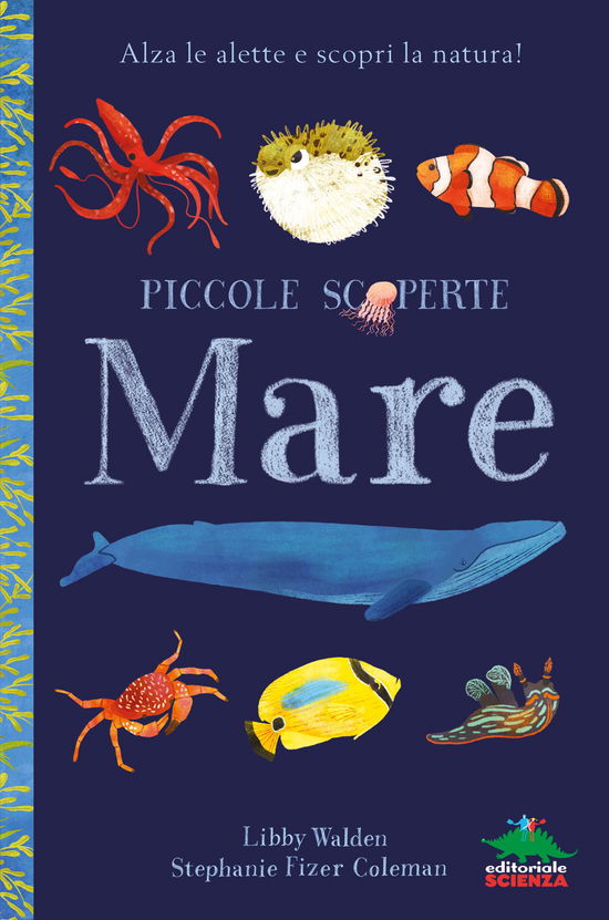 Cover for Libby Walden · Mare. Alza Le Alette E Scopri La Natura! Ediz. Illustrata (Book)