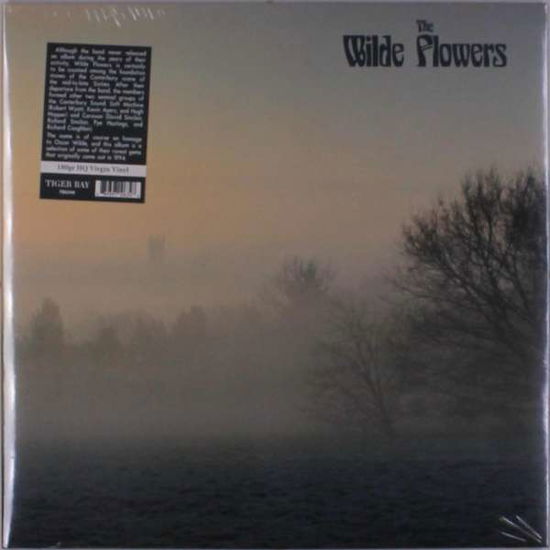 Cover for Wilde Flowers · The Wilde Flowers (LP) [Remastered edition] (2018)