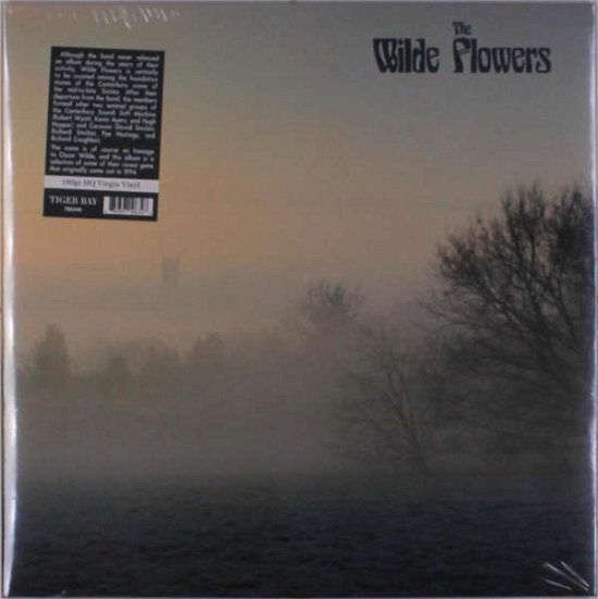 Cover for Wilde Flowers · The Wilde Flowers (LP) (2018)