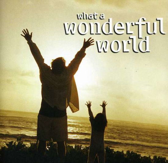What a Wonderful World / Various - What a Wonderful World / Various - Música - FF SIGNATURE - 5022508221348 - 24 de abril de 2012