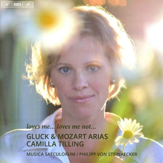 Cover for Tillingsaeculorumsteinaecker · Gluckmozartloves Me Loves Me Notarias (CD) (2017)