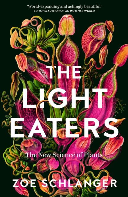 Cover for Zoe Schlanger · The Light Eaters: The New Science of Plant Intelligence (Hardcover bog) (2024)