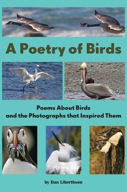 Cover for Dan Liberthson · Poetry of Birds Poems about Birds and the Photographs That Inspired Them (Bok) (2017)