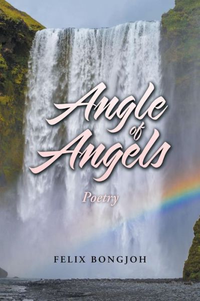 Angle of Angels - Felix Bongjoh - Kirjat - Trafford Publishing - 9781490795348 - perjantai 17. toukokuuta 2019