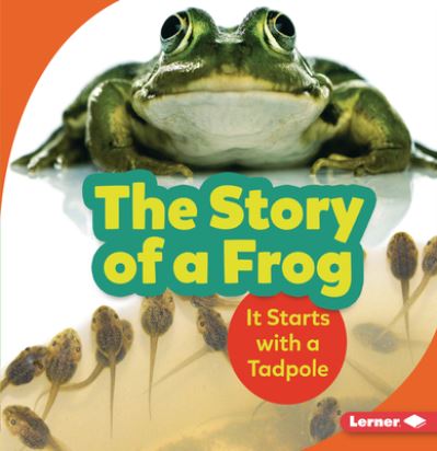 Cover for Shannon Zemlicka · Story of a Frog It Starts with a Tadpole (Book) (2021)