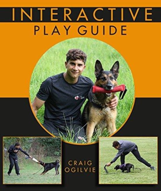 Cover for Craig Ogilvie · Interactive Play Guide (Paperback Book) (2017)