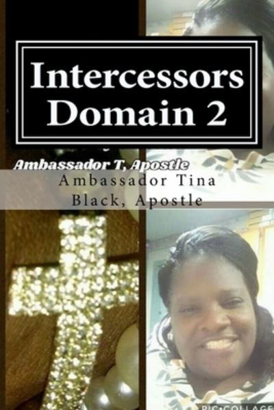 Cover for Ambassador Tina Black Apostle · Intercessors Domain 2 (Paperback Bog) (2017)