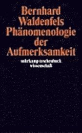 Cover for Bernhard Waldenfels · Suhrk.TB.Wi.1734 Waldenfels.Phän.d.Aufm (Book)