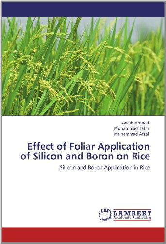 Cover for Muhammad Afzal · Effect of Foliar Application of Silicon and Boron on Rice: Silicon and Boron Application in Rice (Paperback Book) (2012)