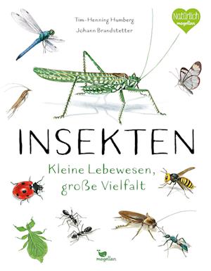 Cover for Humberg:insekten · Kleine Lebewesen, Gr (Book)