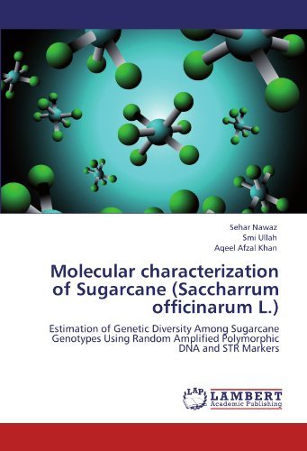 Cover for Aqeel Afzal Khan · Molecular Characterization of Sugarcane (Saccharrum Officinarum L.): Estimation of Genetic Diversity Among Sugarcane Genotypes Using Random Amplified Polymorphic Dna and Str Markers (Paperback Bog) (2012)