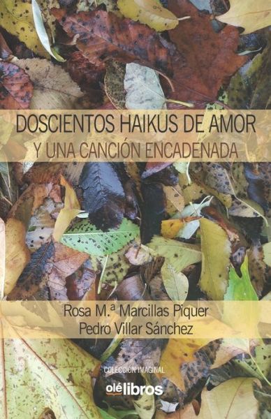 Cover for Rosa Mª Marcillas Piquer · Doscientos haikus de amor y una canción encadenada (Taschenbuch) (2020)