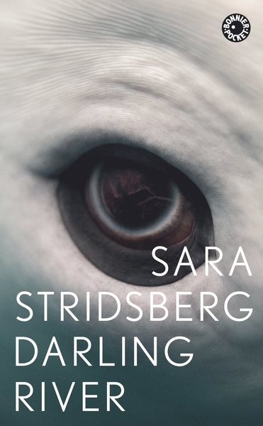 Cover for Sara Stridsberg · Darling River : Doloresvariationer (Paperback Book) (2018)