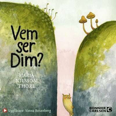 Cover for Maria Nilsson Thore · Vem ser Dim? (Lydbok (MP3)) (2021)