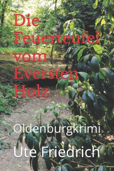 Cover for Ute Friedrich · Die Feuerteufel vom Eversten Holz: Oldenburgkrimi (Paperback Book) (2022)