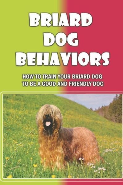 Cover for Sid Mazze · Briard Dog Behaviors (Paperback Book) (2021)