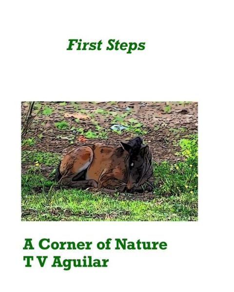 A Corner of Nature - T V Aguilar - Bøger - Independently Published - 9798601898348 - 27. januar 2020