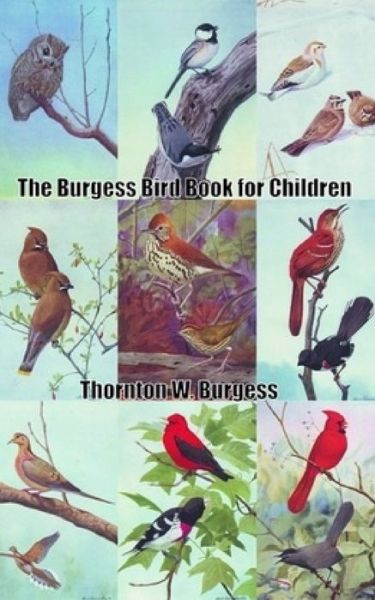 The Burgess Bird Book for Children - Thornton W Burgess - Books - Independently Published - 9798620299348 - March 3, 2020