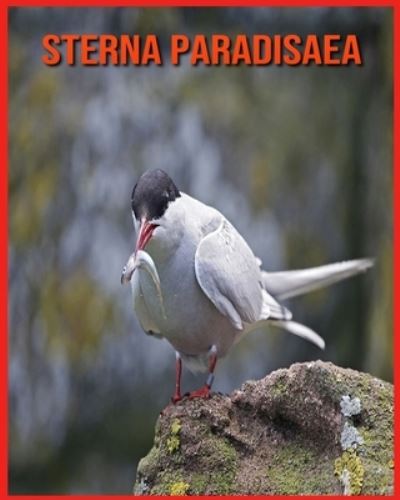 Cover for Annie Nichols · Sterna Paradisaea: Fatti divertenti e foto incredibili degli animali nella natura (Paperback Book) (2021)