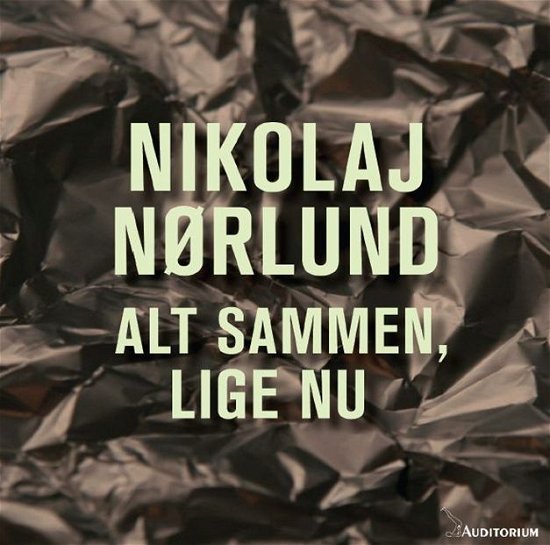 Cover for Nikolaj Nørlund · Alt Sammen, Lige Nu (LP) (2012)