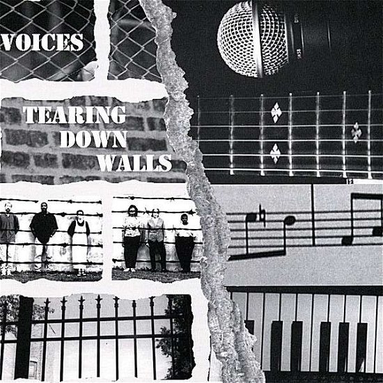 Cover for Voices · Tearing Down Walls (CD) (2008)