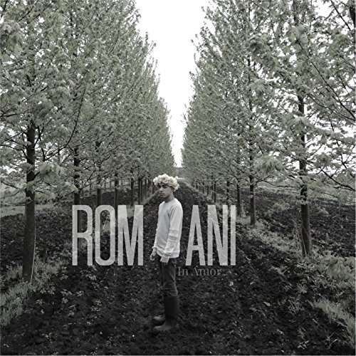 Cover for Romani · In Amor (CD) (2014)