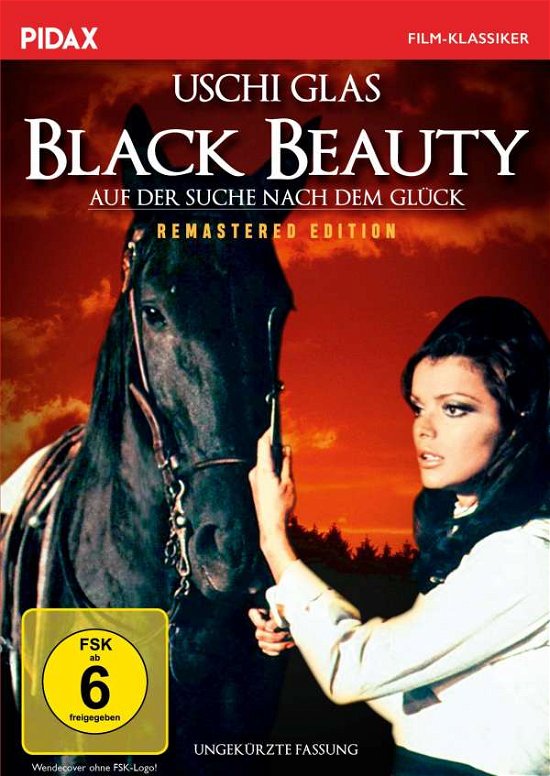 Cover for James Hill · Black Beauty-auf Der Suche Nach Dem Glück (DVD) (2020)