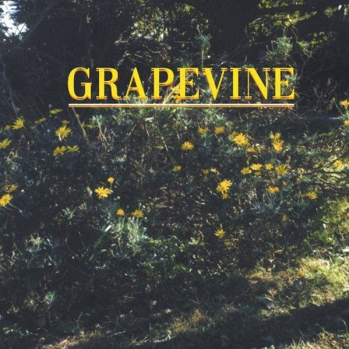 Cover for Grapevine · Yubisaki (CD) (2007)