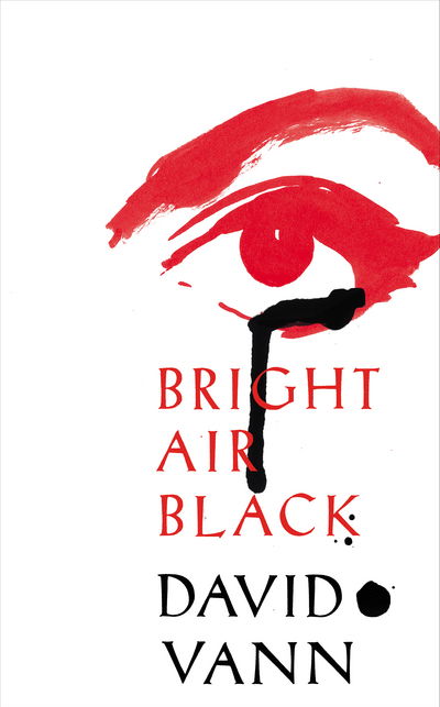 Cover for David Vann · Bright Air Black (Hardcover Book) (2017)